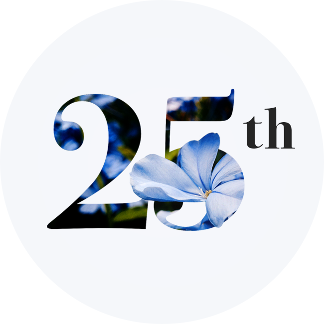 Twenty-fifth anniversary — Silver